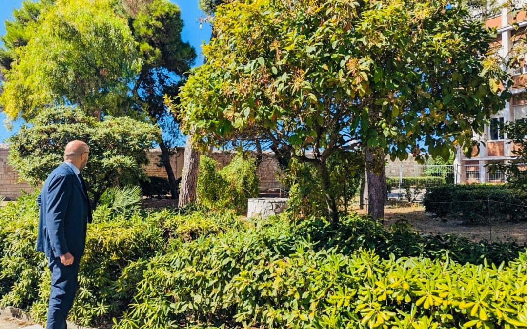 Parco del Castello: in corso di ultimazione i lavori di messa in sicurezza dell’area verde sul lungomare De Tullio