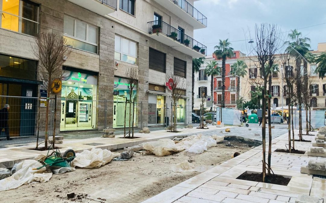 Via Argiro: iniziati gli interventi di piantumazione delle alberature