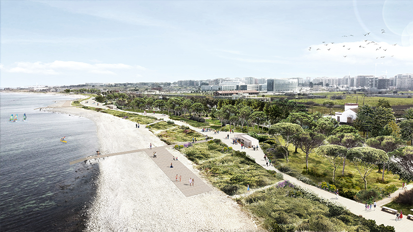 Bari Costa Sud: la giunta approva la realizzazione di una dorsale elettrica nel Lotto 2 del parco per efficientare la fornitura di energia nel quadrante urbano a nord ovest del parco e al servizio del sistema di irrigazione