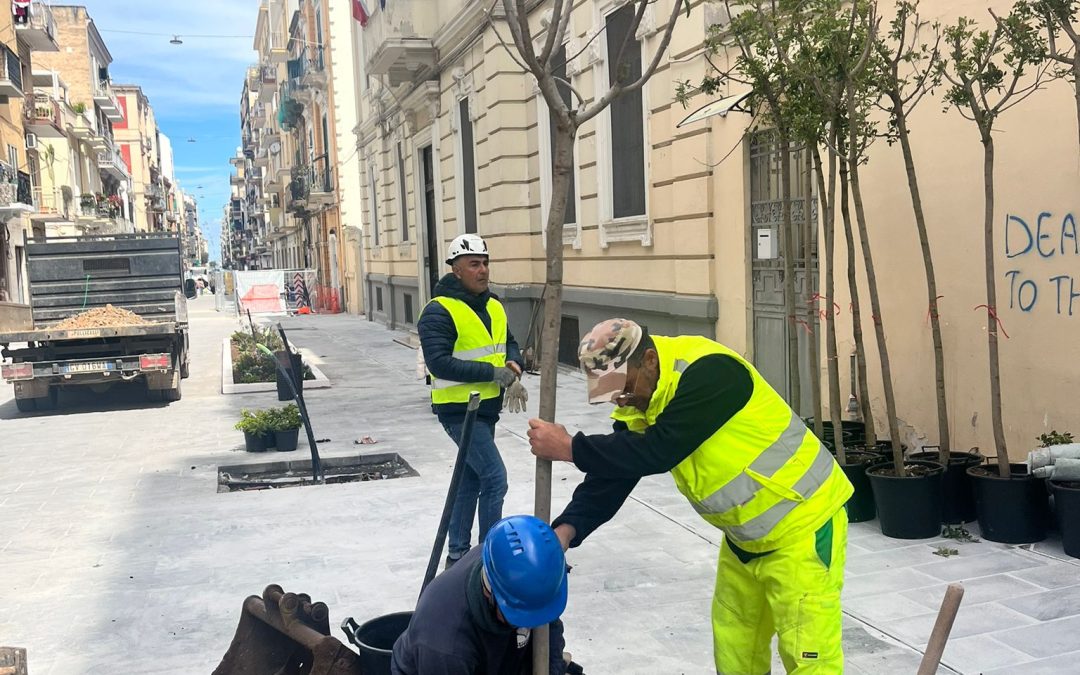 Riqualificazione via Manzoni, oggi le prime piantumazioni nel tratto tra corso Italia e via Crisanzio. Prosegue l’avanzamento del cantiere