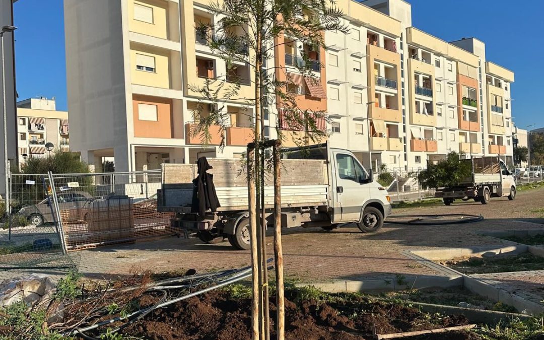 In corso la piantumazione di 25 alberi e 300 arbusti ed essenze nella nuova area parcheggio di Sant’Anna