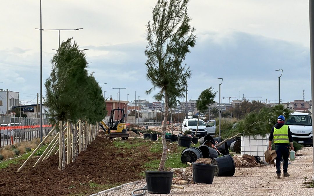 Costa Sud, iniziata la piantumazione degli alberi. Leccese: “Sarà uno dei parchi più grandi d’Europa”