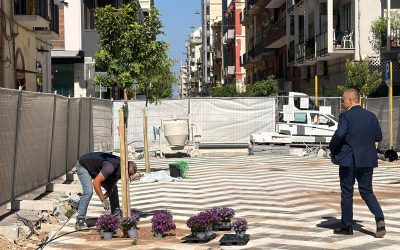 Riqualificazione di via Manzoni: continuano le piantumazioni di alberi e settembrini. Nel fine settimana aperto l’isolato tra via Nicolai e via Dante