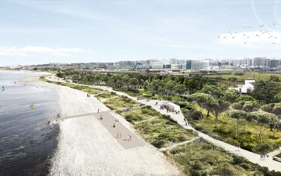 Bari Costa Sud: la giunta approva la realizzazione di una dorsale elettrica nel Lotto 2 del parco per efficientare la fornitura di energia nel quadrante urbano a nord ovest del parco e al servizio del sistema di irrigazione